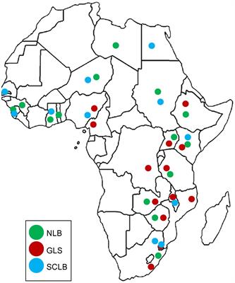 Recent advances in the population biology and management of maize foliar fungal pathogens Exserohilum turcicum, Cercospora zeina and Bipolaris maydis in Africa